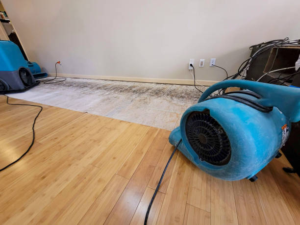 Professional Water Removal technician working in Darby, PA